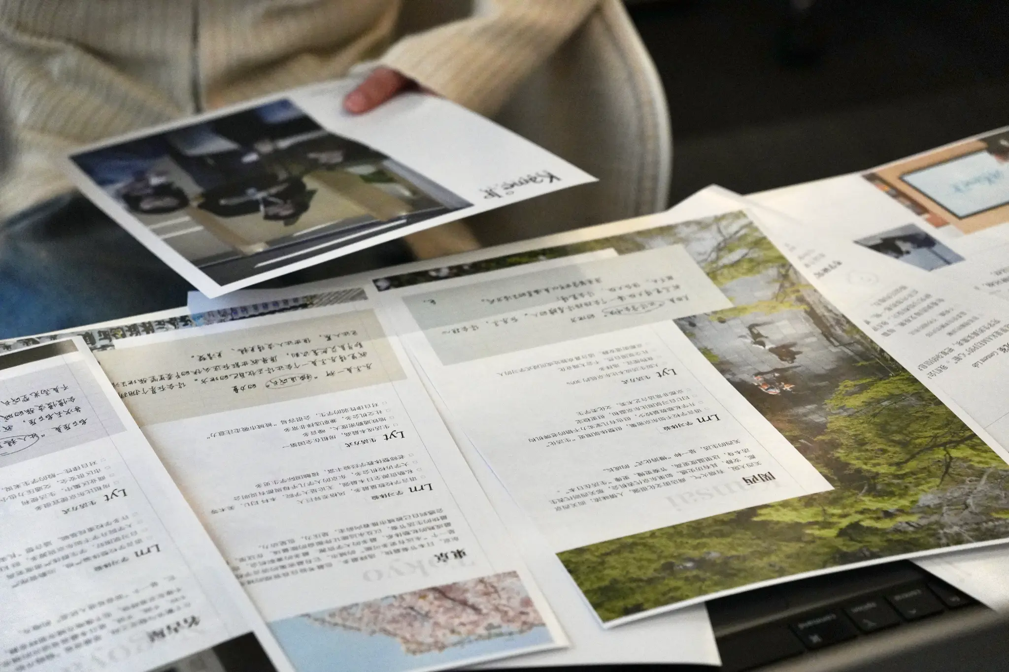 语言学校申请服务